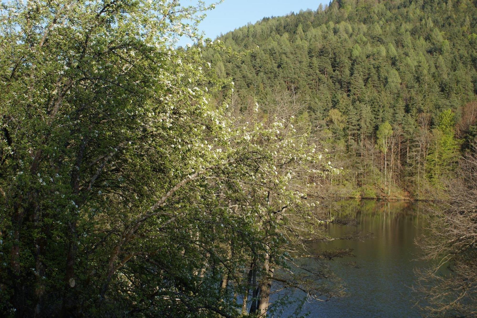 Landgasthof Trattnig Шифлінг-ам-Зе Номер фото