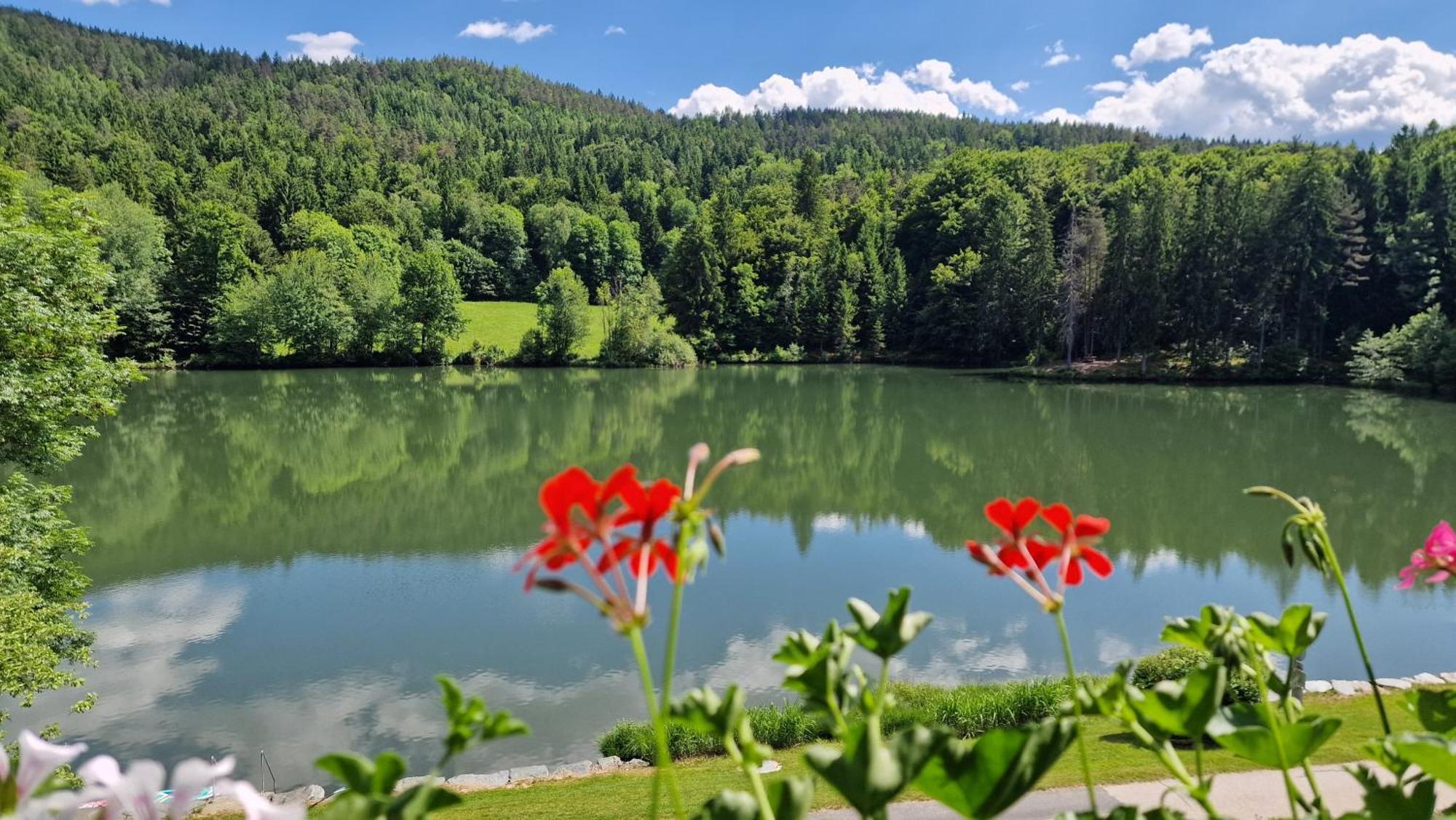 Landgasthof Trattnig Шифлінг-ам-Зе Номер фото